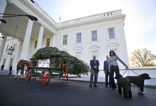 First lady Michelle Obama with her dogs Bo and Sunny welcomes the Official White House Christmas Tree to the White House in Washington Friday Nov. 27 201