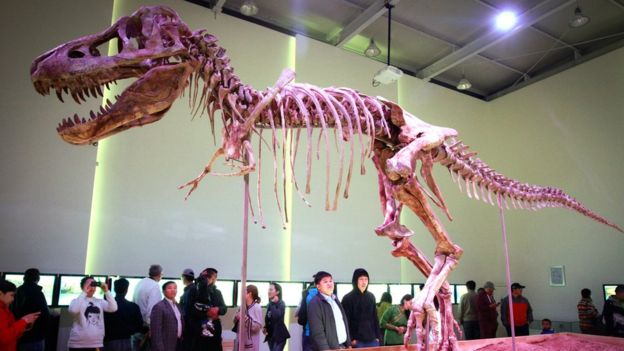 Nicolas Cage agrees to return rare stolen dinosaur skull to Mongolia