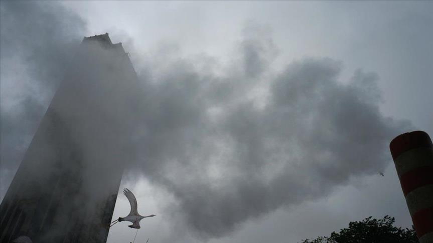 Scientists surprised by decline in global carbon emission