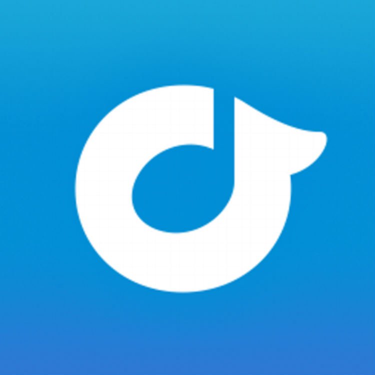 Rdio lets users look back at their listening history one last time