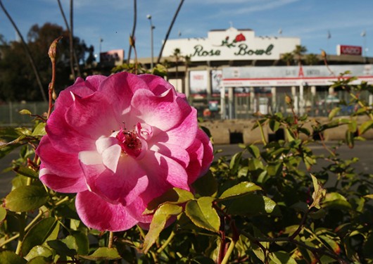 Rose Bowl Stadium. Credit Courtesy of TNS