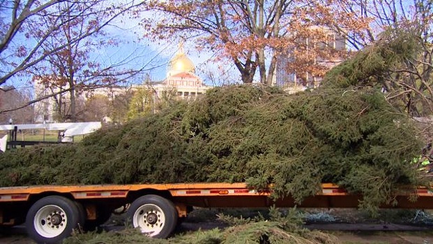 Stratford's Holiday Tree Lighting Festival is December 1