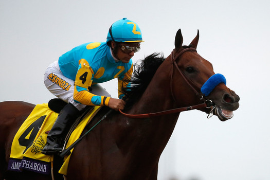 American Pharoah wins nearly half of readers&#039 votes for SI's Sportsman award