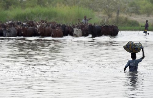 The Lake Chad region also borders Niger Nigeria and Cameroon and and is frequently targeted by Boko Haram Islamists