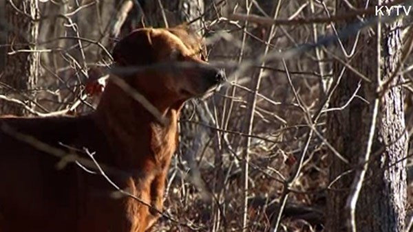 The timid survivor doesn't trust humans enough to come close to the shelter staffers