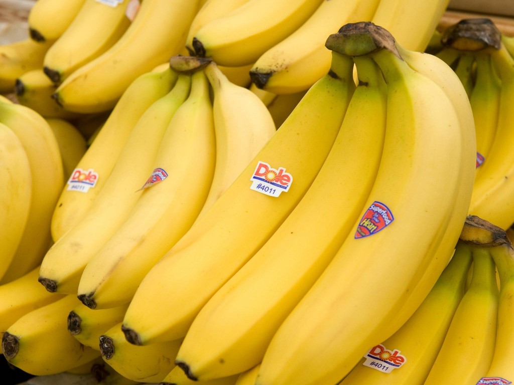 Could a lethal fungus wipe out global banana production?