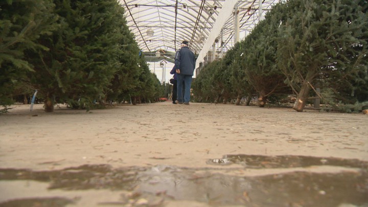 The Obama Family Participates In The National Christmas Tree Lighting Ceremony