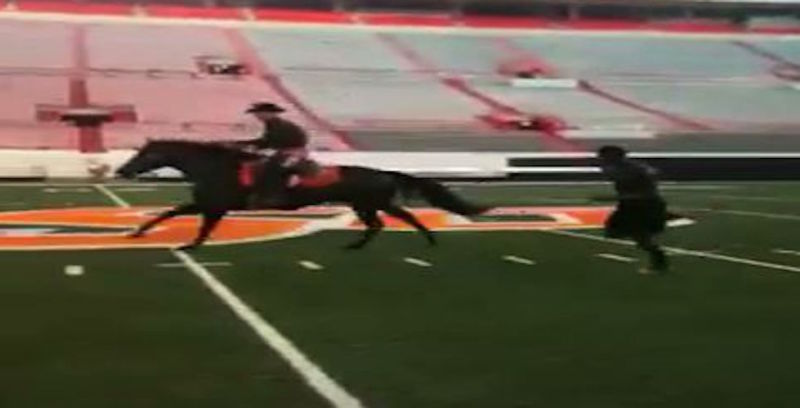 Here Are Videos Of Dez Bryant Racing A Horse In College