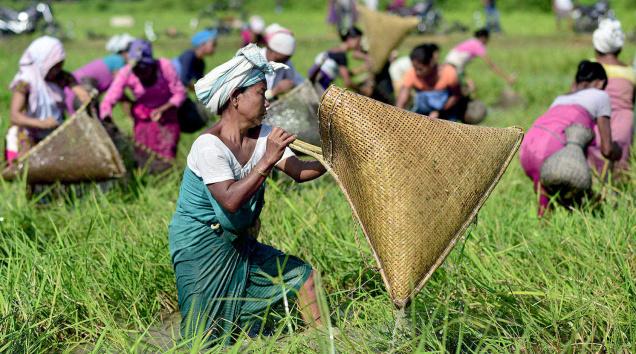 WTO India likely to lodge its protest over draft text on agriculture