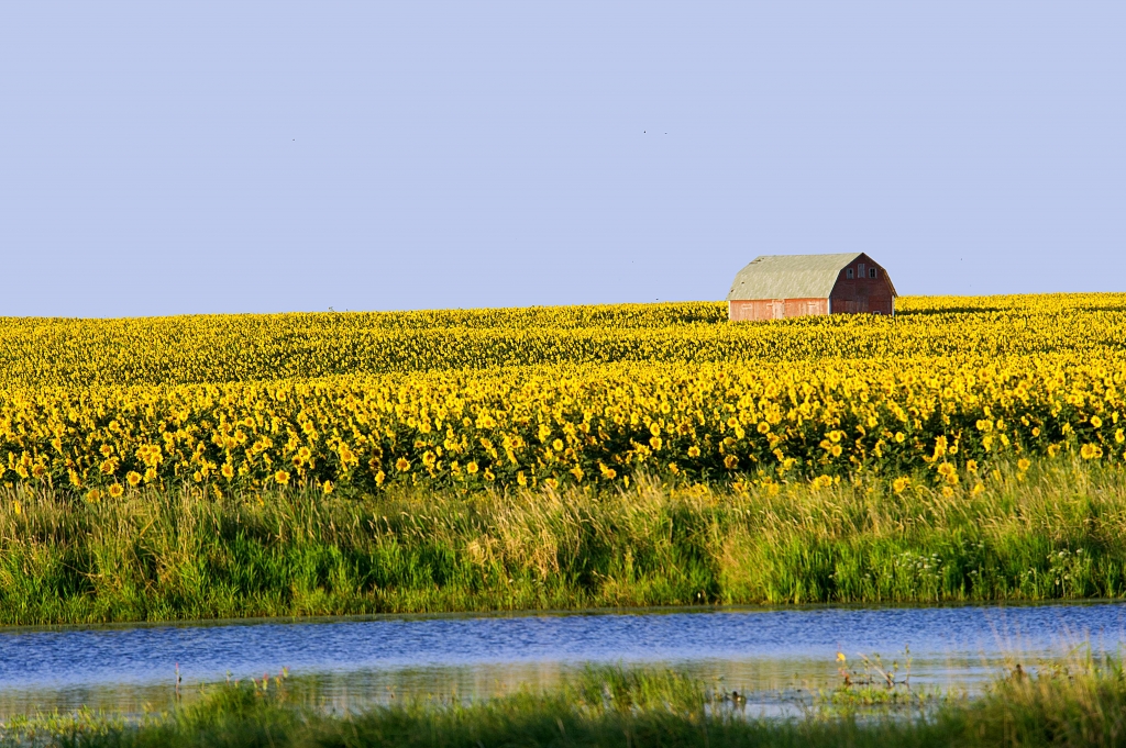 North Dakota's population reaches all-time high, sees largest percentage