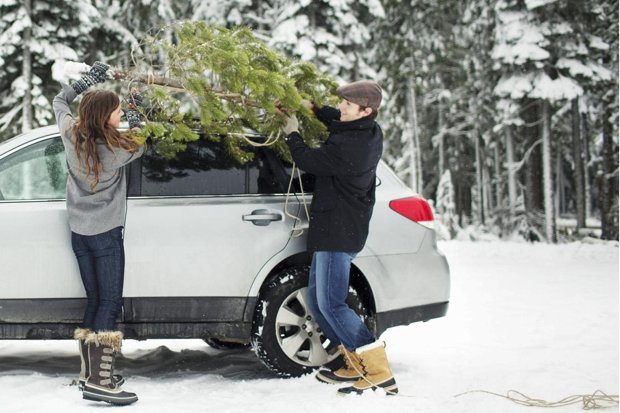 Couple putting Christmas tree on their car