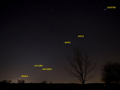 Skywatchers, catch Fab Five!