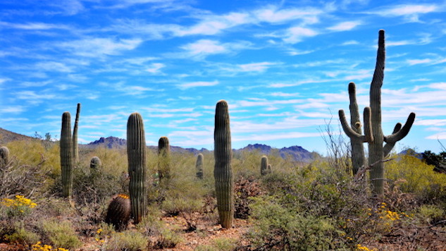 Celebrate MLK Day for Free in a National Park