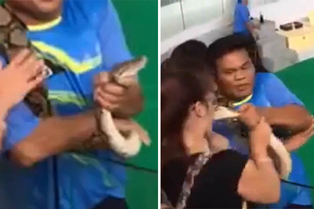 CEN    
     BITE Watch the moment a woman was bitten by a snake at the end of a show