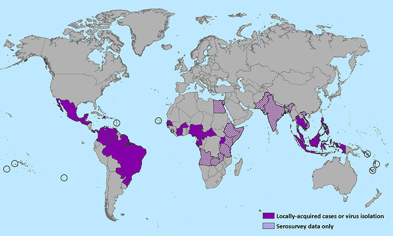 Cases of the Zika virus are prevalent in the tropical regions of the world