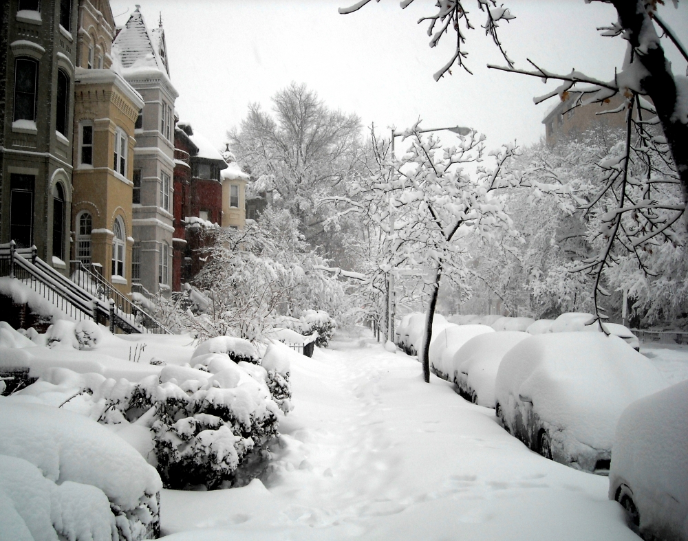 1600_block_of_19th_street_nw__2010_blizzard