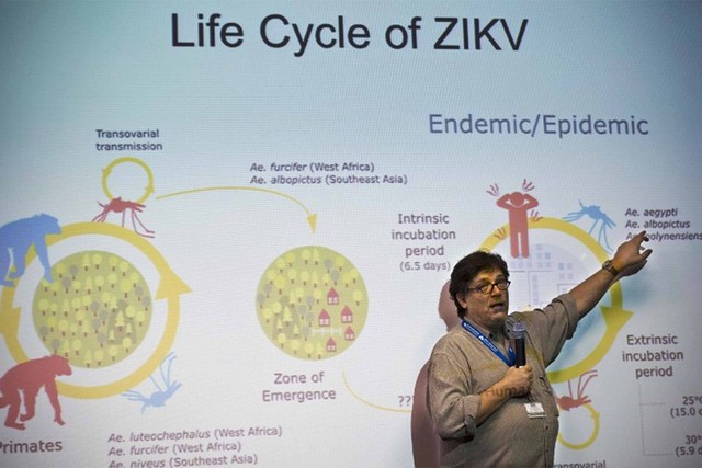 Expert gives lecture on Zika virus in São Paulo Brazil