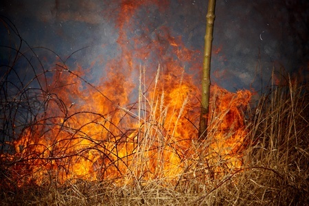 Waroona fire threatens homes