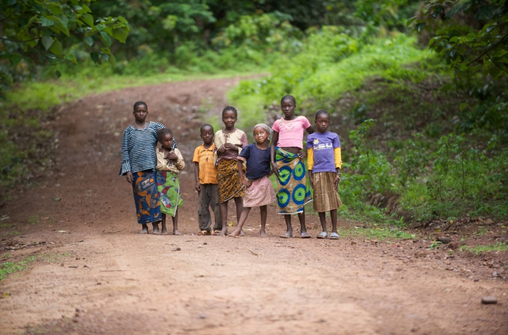 Guinea to be declared free of Ebola virus