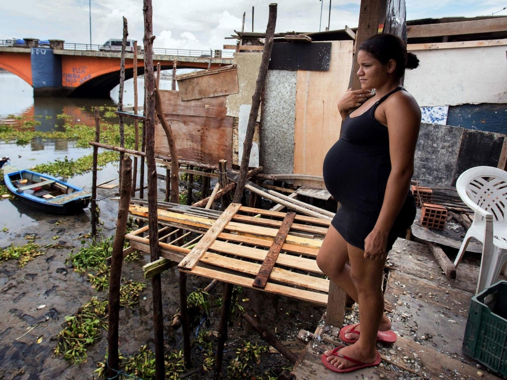 A link has been seen between Zika infections and cases of microcephaly