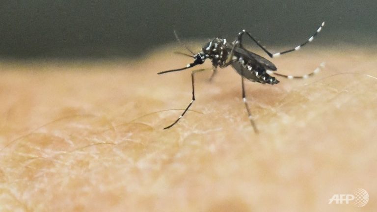 Zika Virus Outbreak: Airlines Refunding Tickets to Latin America