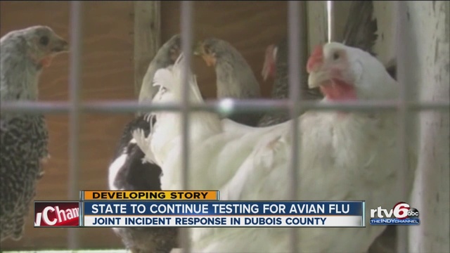 More than 400,000 birds affected so far                      WRTV