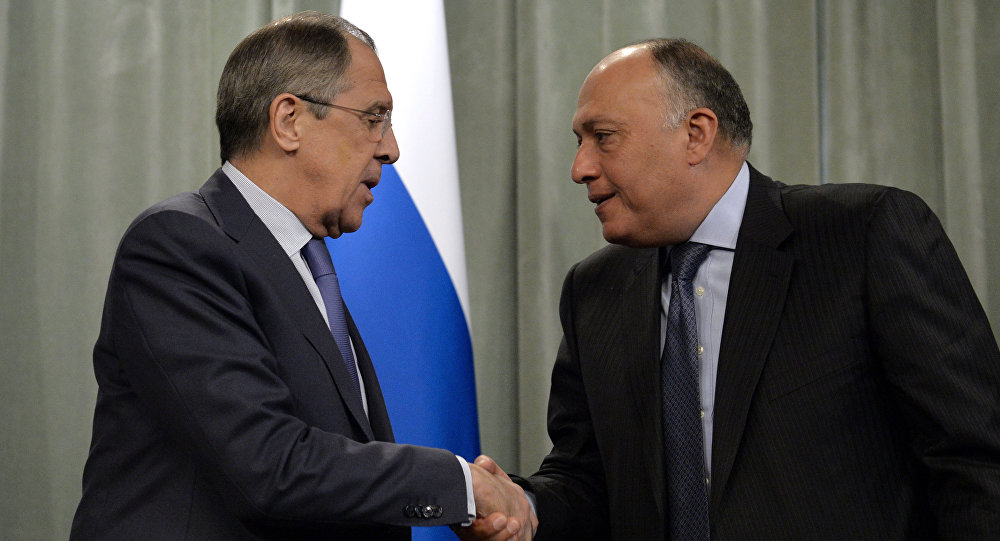 Russia's Foreign Minister Sergei Lavrov shakes hands with his Egyptian counterpart Sameh Shoukry during a press conference following a meeting of a delegation of the ministerial contact group of the Organization of Islamic Cooperation on Palesti