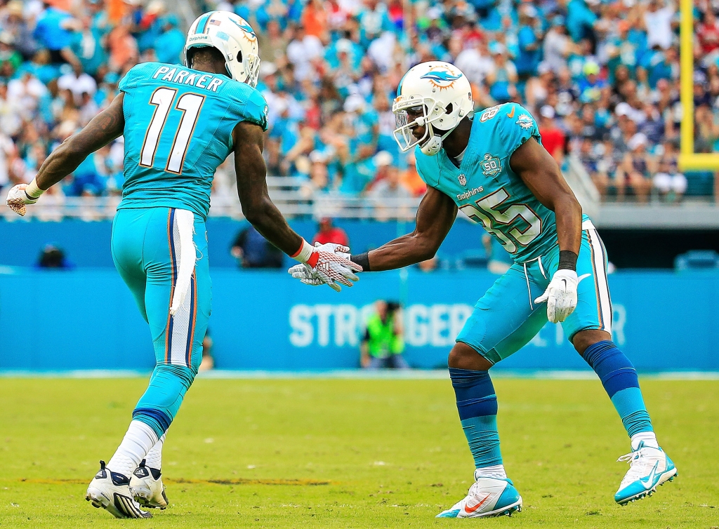 Greg Jennings #85 congratulates De Vante Parker #11 of the Miami Dolphins for making a catch during the fourth quarter of the game against the New England Patriots at Sun Life Stadium