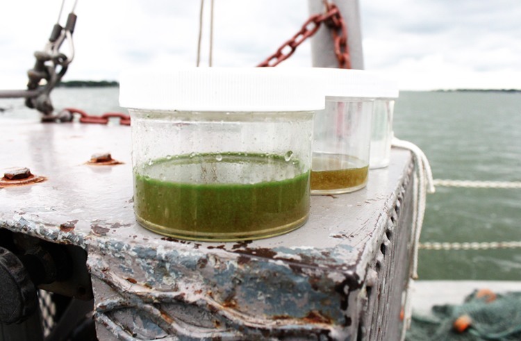 In 2014 a bloom of toxic algae in Lake Erie shut down drinking water supplies for half a million people in Toledo Ohio