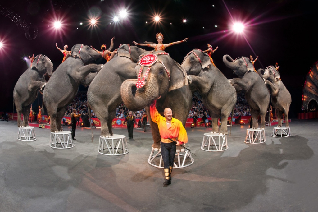 Ringling Bros Circus is retiring its performing elephants