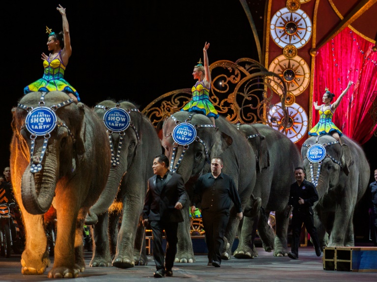 Ringling Brothers Circus to Give Elephants an Early Retirement