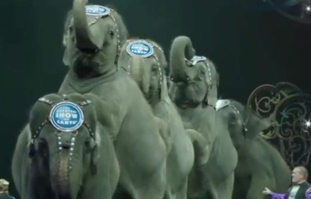 Ringling Bros. Elephants Retiring