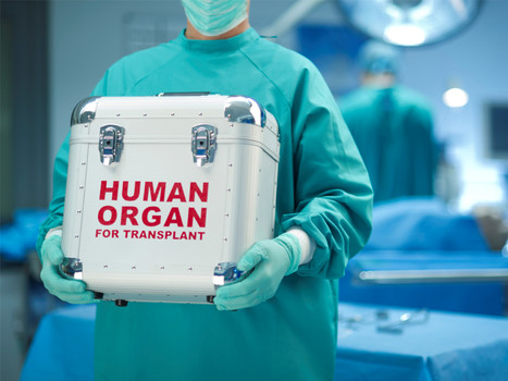 The investigators identified 11,061 cases of solid organ transplants including 6,516 kidney 2,606 liver 929 heart and 705 lung transplantations