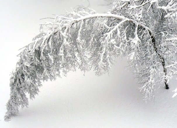 Snowstorm Jonas Sweeps the Northeast: Photos