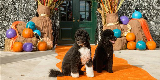 Sunny and Bo during a Halloween celebration