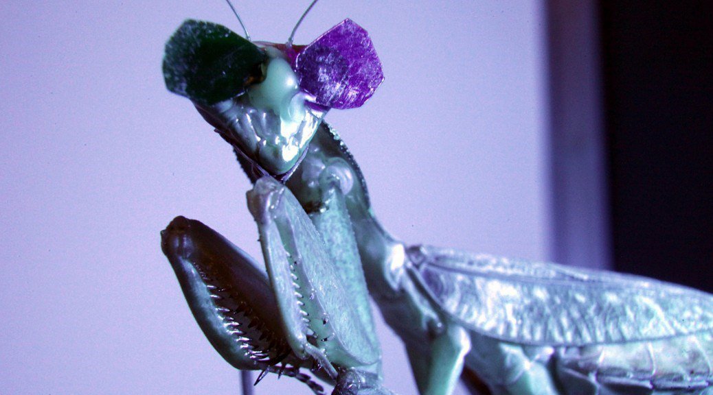 Why are praying mantises wearing tiny 3D glasses in the name of science