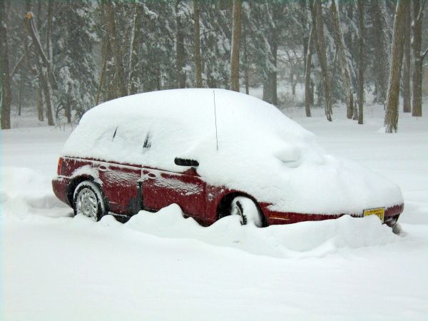 Vehicle in New Jersey