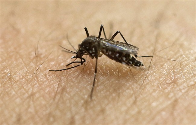 United, American offering refunds for travel to Zika areas