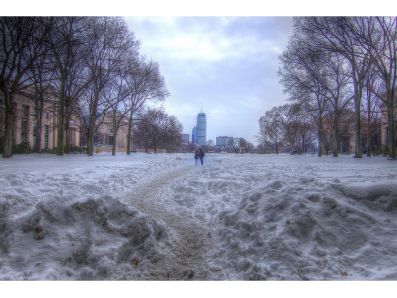 MA Weather Live Updates Hub Blizzard Warnings Begin