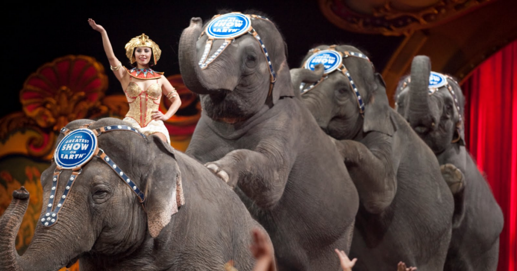 Well Deserved Ringling Brothers Elephants To Retire Early To Sunny Florida Sanctuary