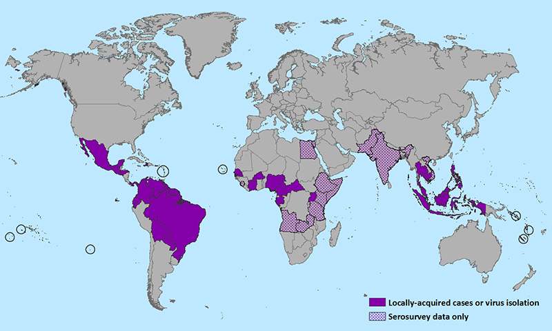 Zika travel warnings spread to Samoa