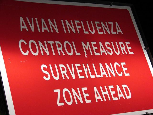 Avian flu sign