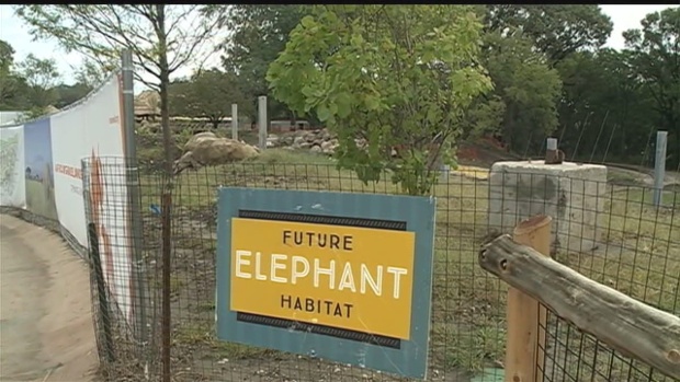 Elephants coming to Henry Doorly Zoo