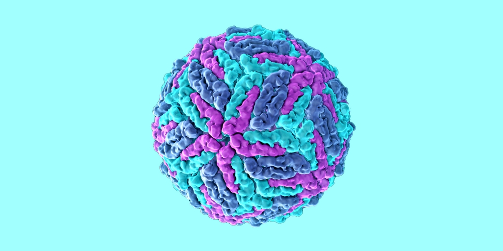 A molecular model of the Zika virus