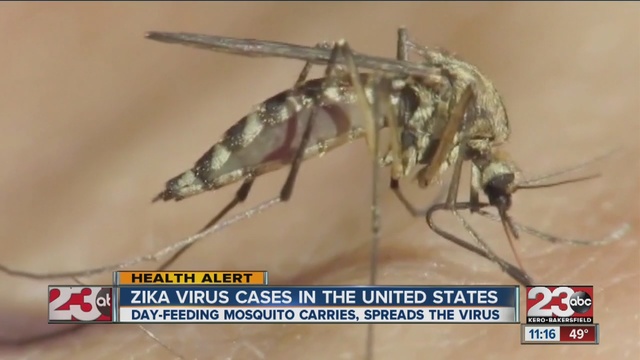 More airlines offer Zika-related refunds to pregnant women