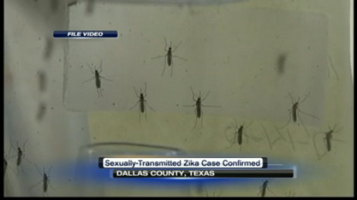 Health officials in Dallas say they have identified a case of Zika virus that they say was transmitted through sexual contact