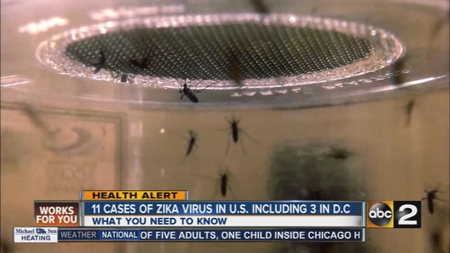 11 Cases of Zika Virus including 3 in Washington DC                      WMAR
