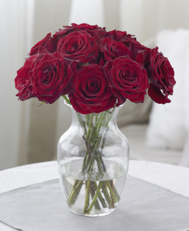 World's biggest roses on sale for £9k a bouquet