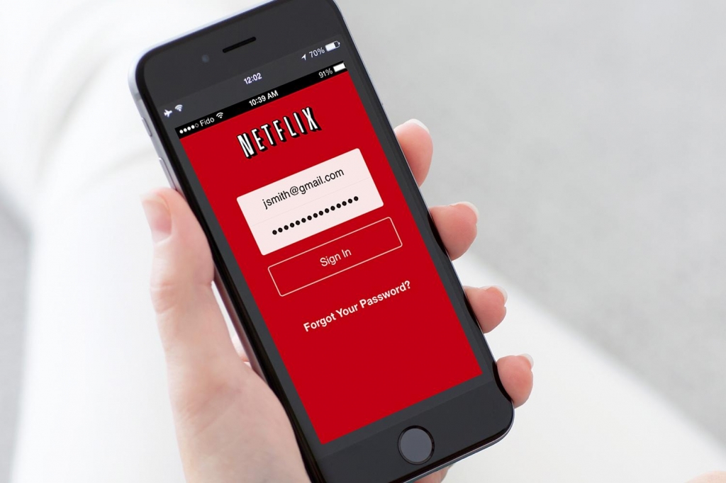 Netflix Password Security