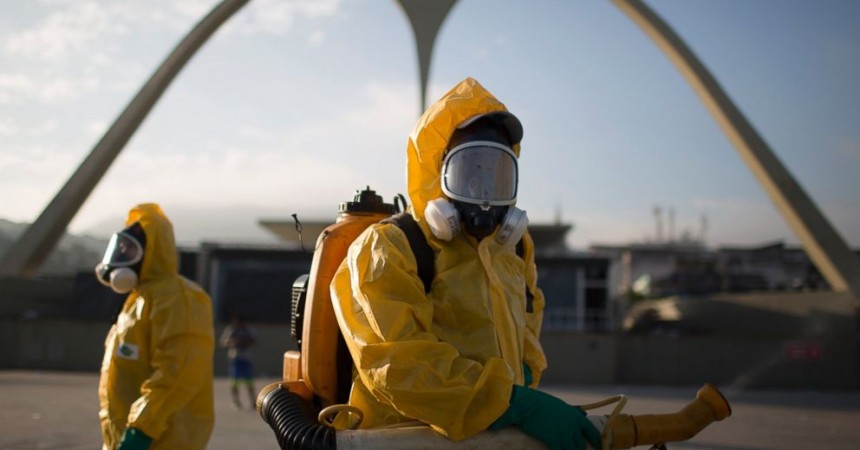 Every weekday around 7 a.m. a van can be seen driving slowly in Piracicaba a city in southeastern Brazil carrying a most precious cargo – mosquitoes